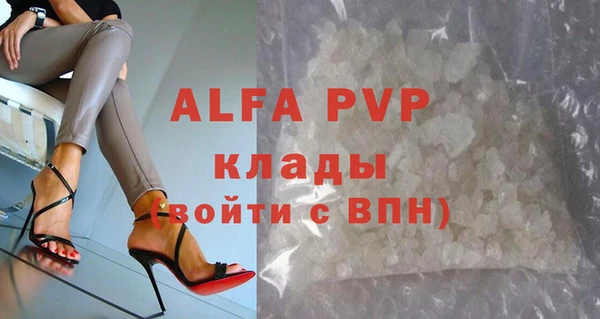 spice Аркадак