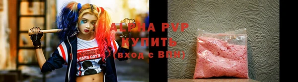 spice Аркадак