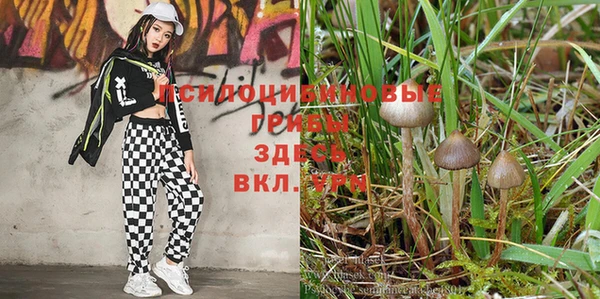 бутират Арсеньев
