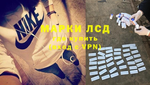 spice Аркадак