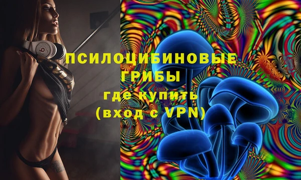spice Аркадак